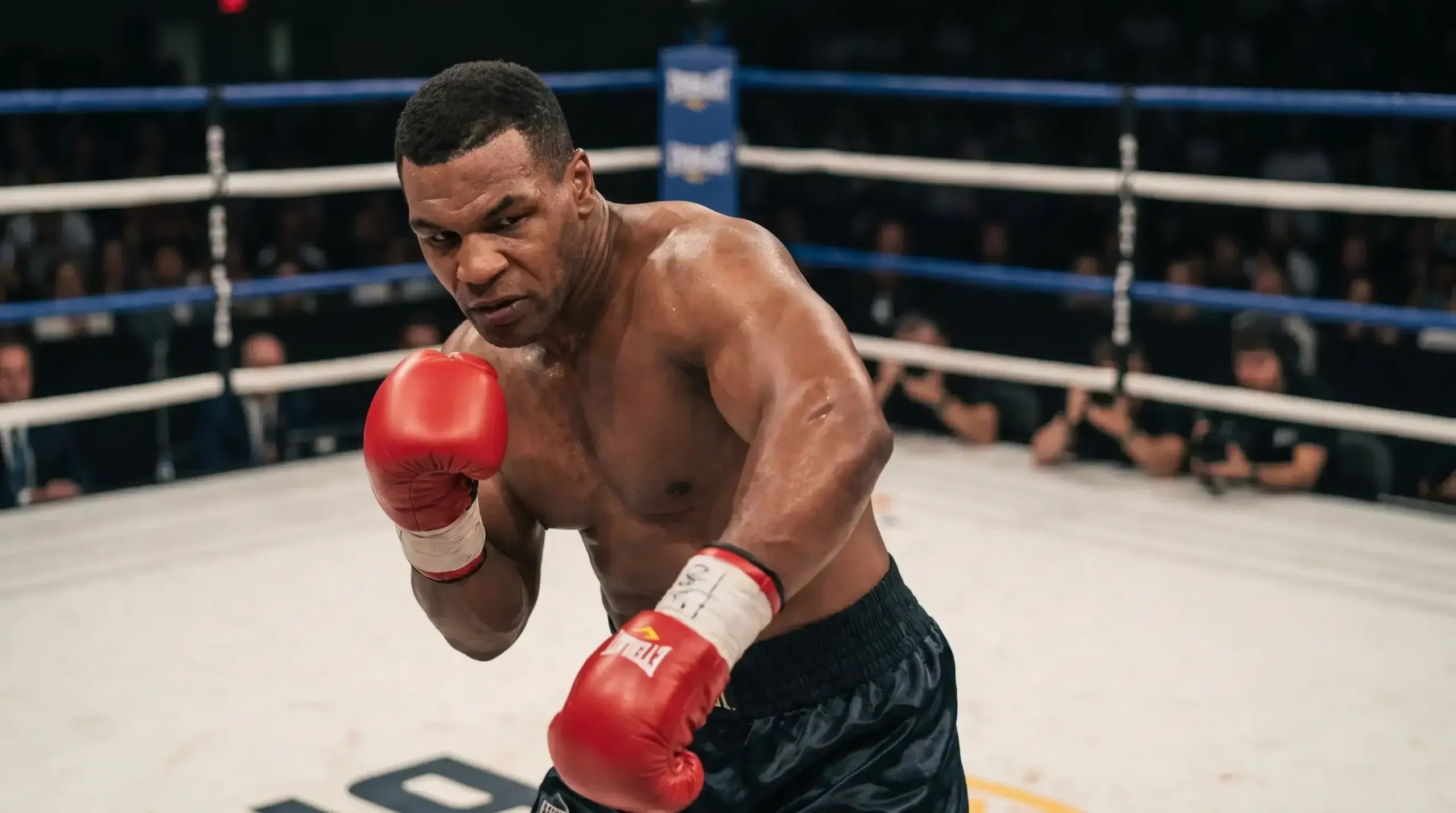 Knockout-Spezialist Boxen erkennen – K.O.-Rate, Timing und Gegnerqualität für Wettanalyse